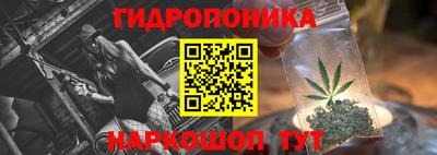 мдпв Мариинск