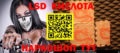 spice Моздок