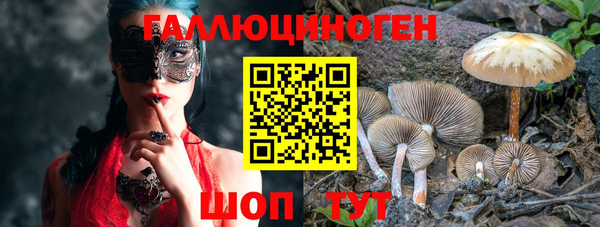 Галлюциногенные грибы GOLDEN TEACHER  Вход с VPN  Славгород  Галлюциногенные грибы мицелий 